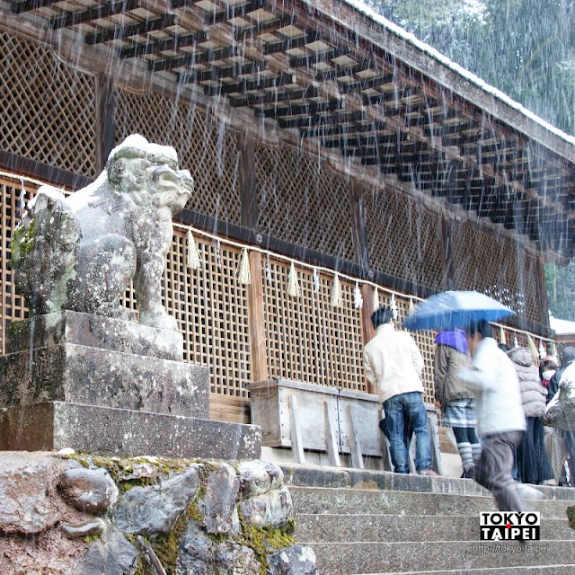 【宇治上神社】日本最古老神社建築　兔子形狀神籤超萌