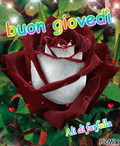 Buongiorno immagini caffè amore frasi inviare momento mandare bestimmagini bellissime pensiero lebelleimmagini DISABILI NEL CORPO, ABILI NEL CUORE : 33 BELLISSIME IMMAGINI PER