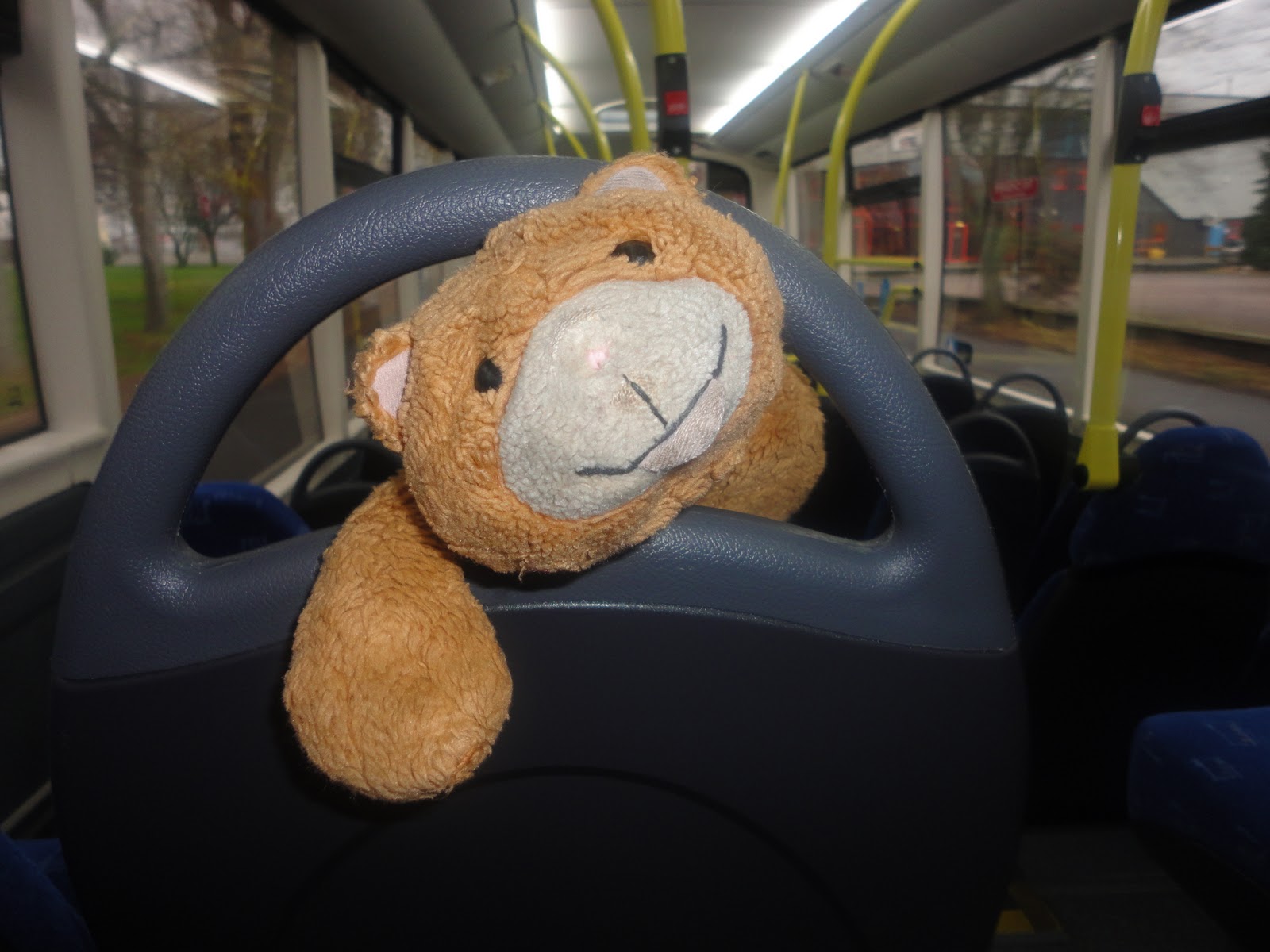 BramcoteBusBlog Cats on buses (By popular demand)