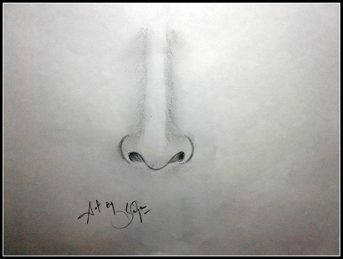 how to draw nose how to draw nose