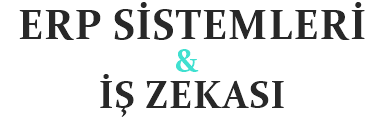 ERP Sistemleri & İş Zekası