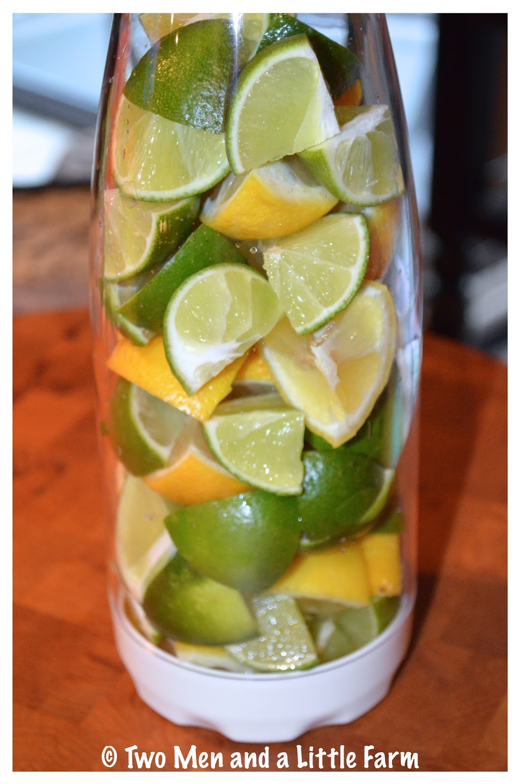 Two Men and a Little Farm FRUIT INFUSED WATER RECIPES