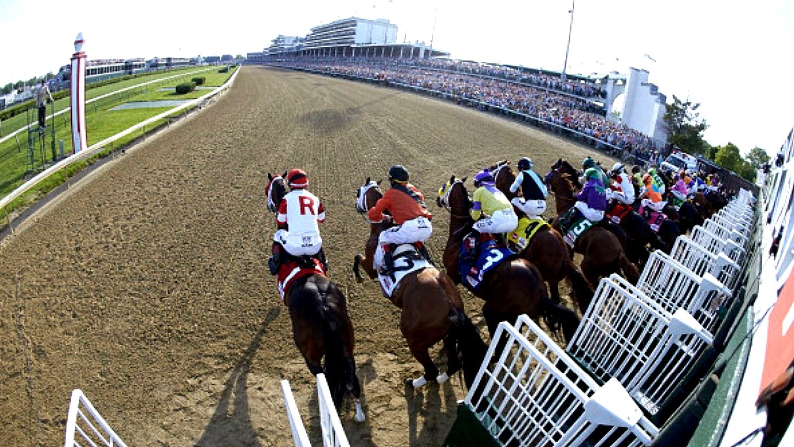 Horse Racing Tv Schedule Horse Choices