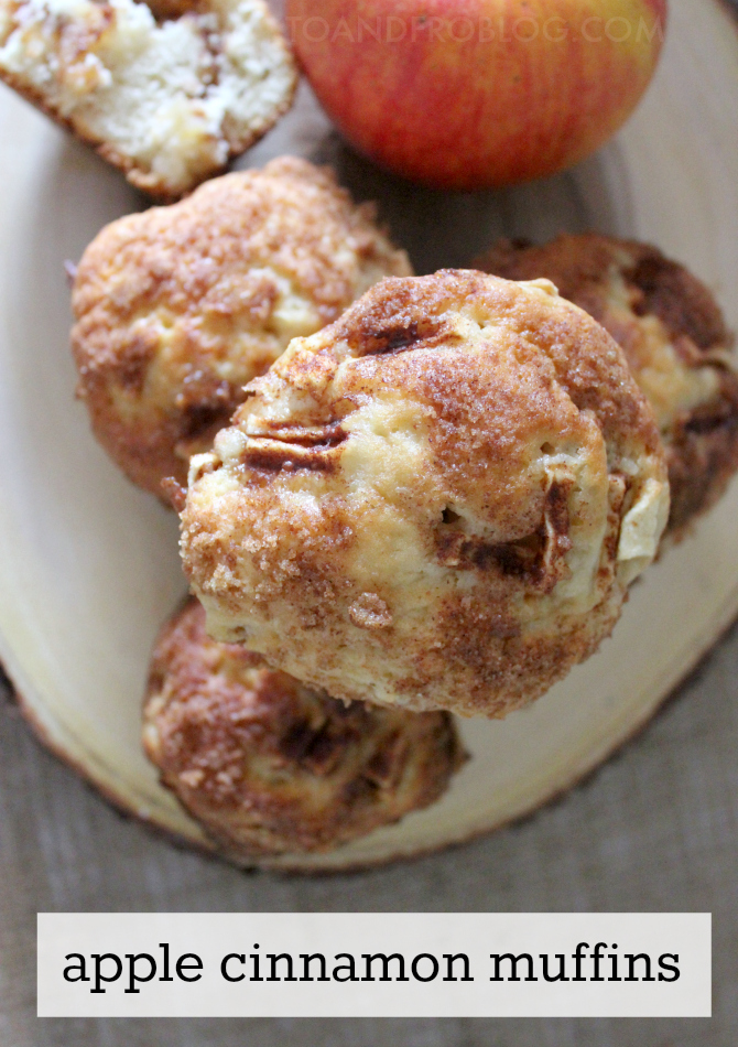 Apple Cinnamon Muffin Recipe