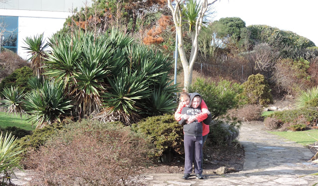 yucca plants protected ecosystem