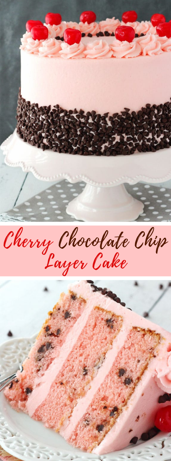 CHERRY CHOCOLATE CHIP CAKE #chocolatecake #cakerecipe CHERRY CHOCOLATE CHIP CAKE #chocolatecake #cakerecipe