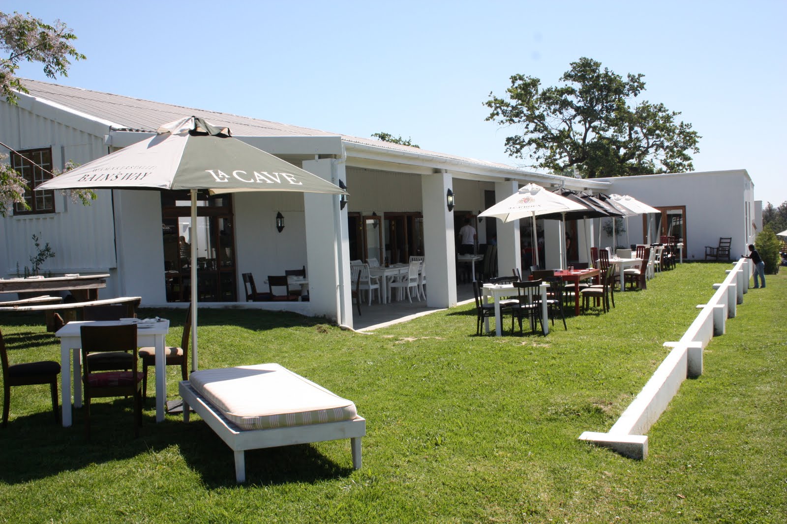 Picnic in Wellington