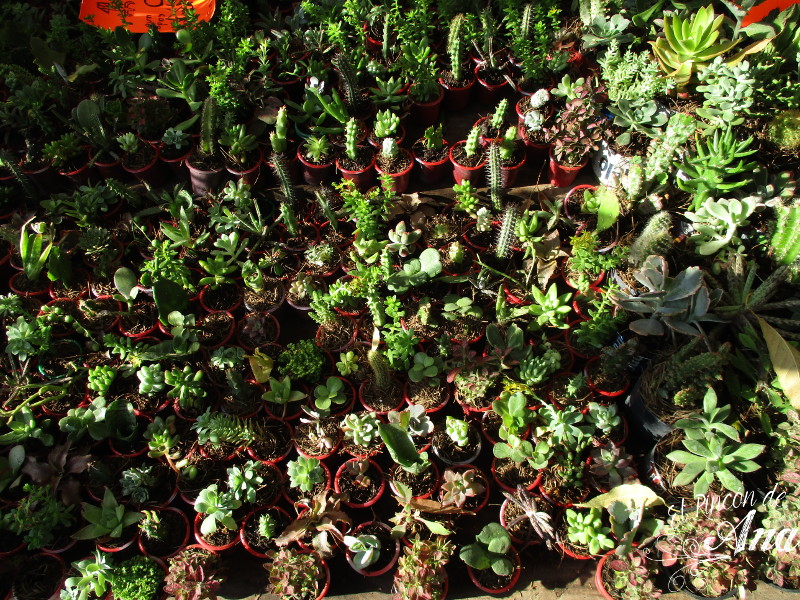 feria de la candelaria 2017