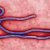 Posible caso de ébola en Francia