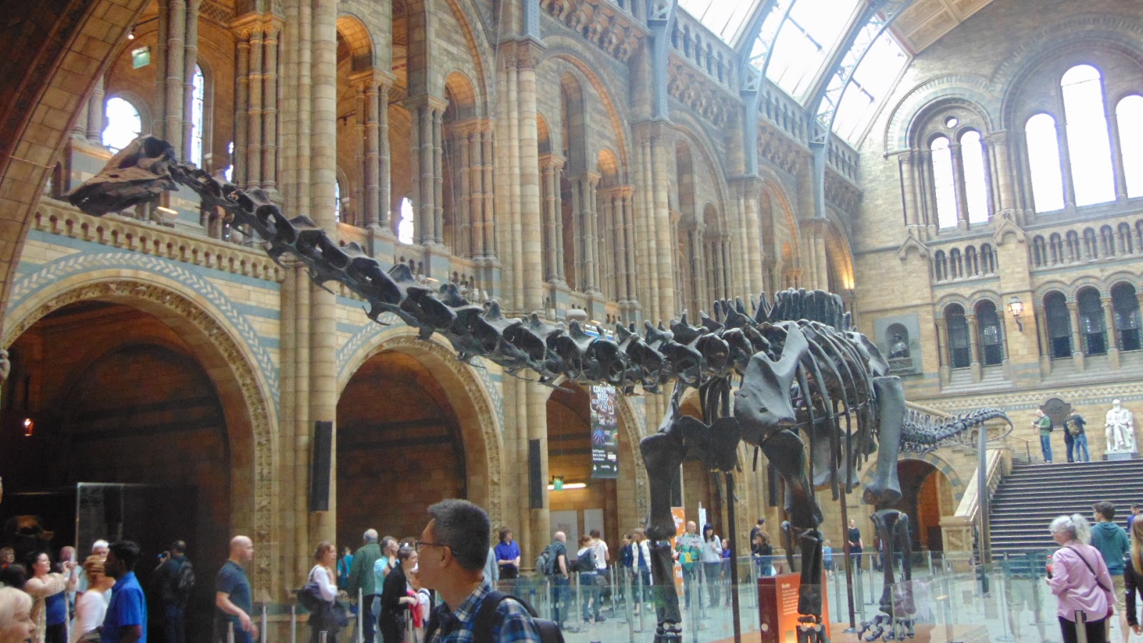 The Smarties Science Club Natural History Museum, London