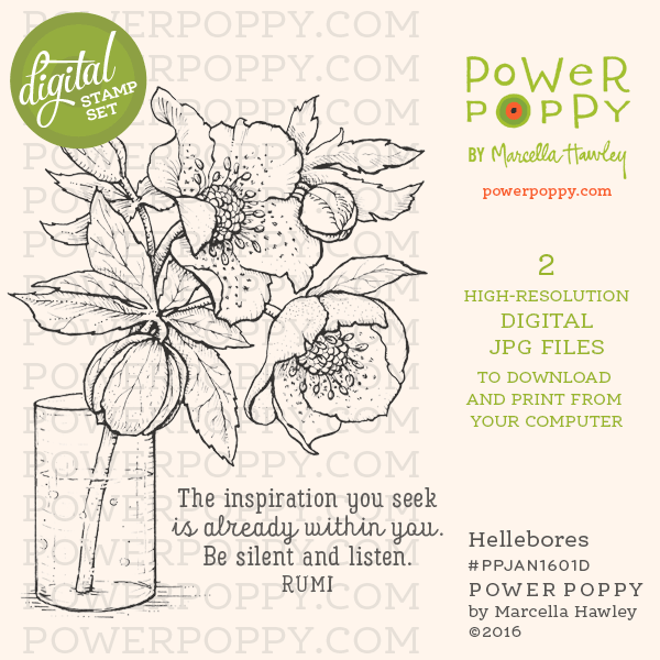 http://powerpoppy.com/products/hellebores