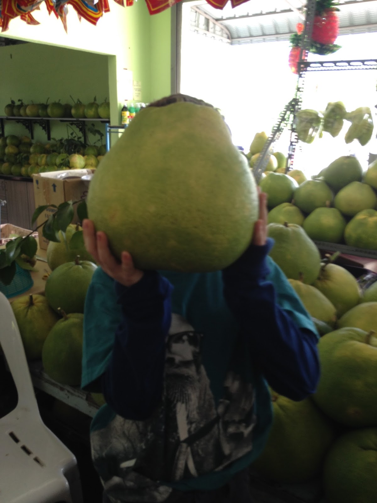 Ersatz Expat Pomelos Ipoh's Famous Fruit