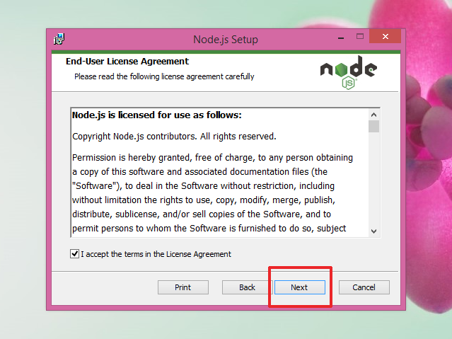 installing npm on windows installing npm on windows