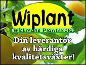 Köp Närpespresentkortet hos Wickmans Plantskola