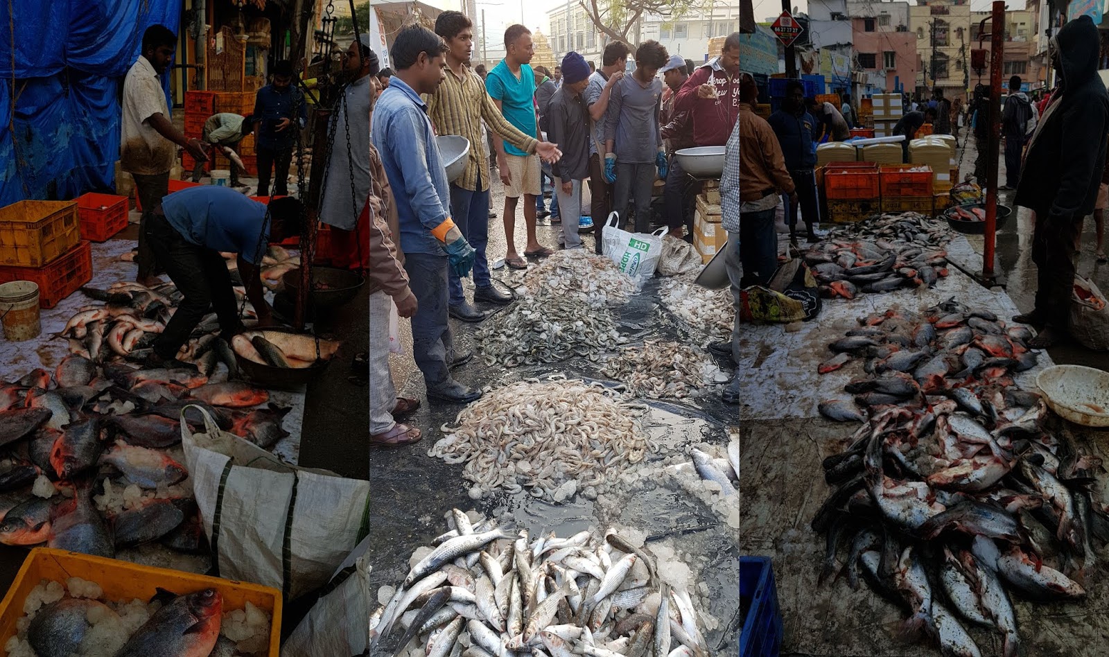 Raghu's column! Ramnagar Fish Market Our City’s Largest Fish Market!