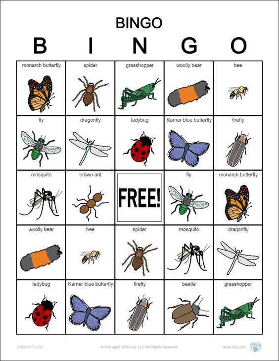 Bug Bingo Printable Printable Word Searches