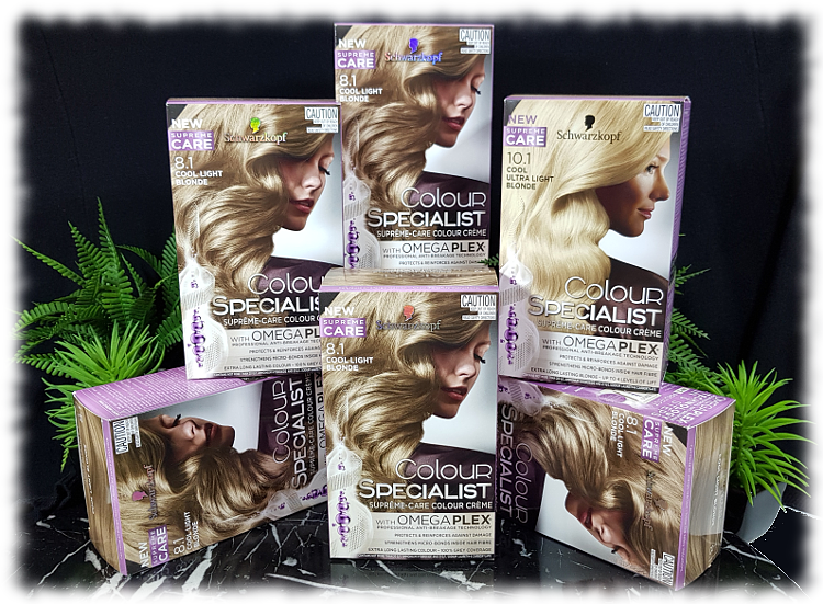 Schwarzkopf Professional Igora Royal Highlifts Permanent Hair Colour - 12-1  Special Blonde Cendré 60ml | Permanent Hair Colour | Salon Services