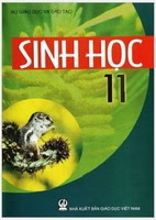 Sách Giáo Khoa Sinh Học Lớp 11 - Nhiều Tác Giả