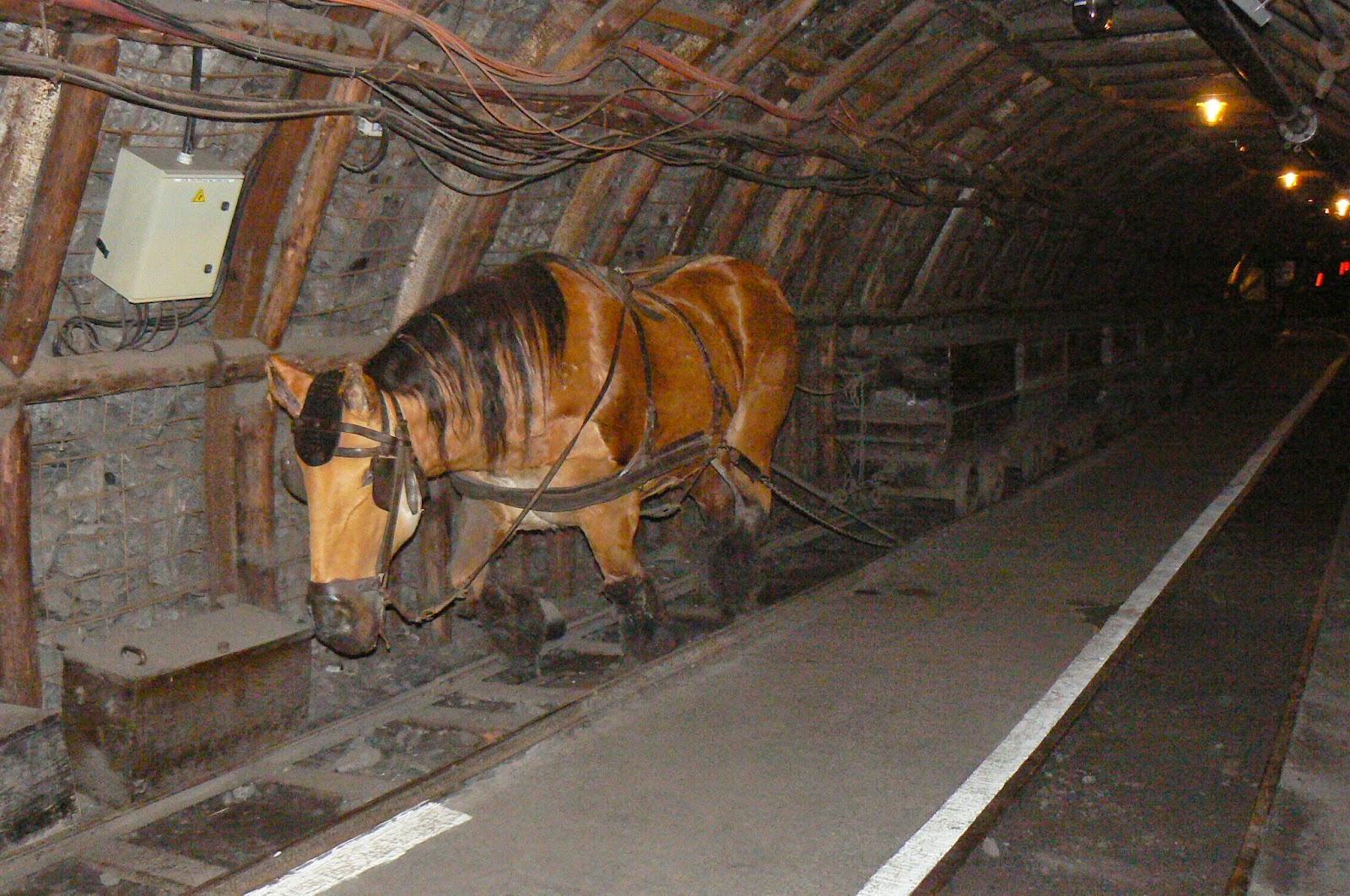 une-ann-e-en-seconde-une-petite-sortie-la-mine-de-lewarde