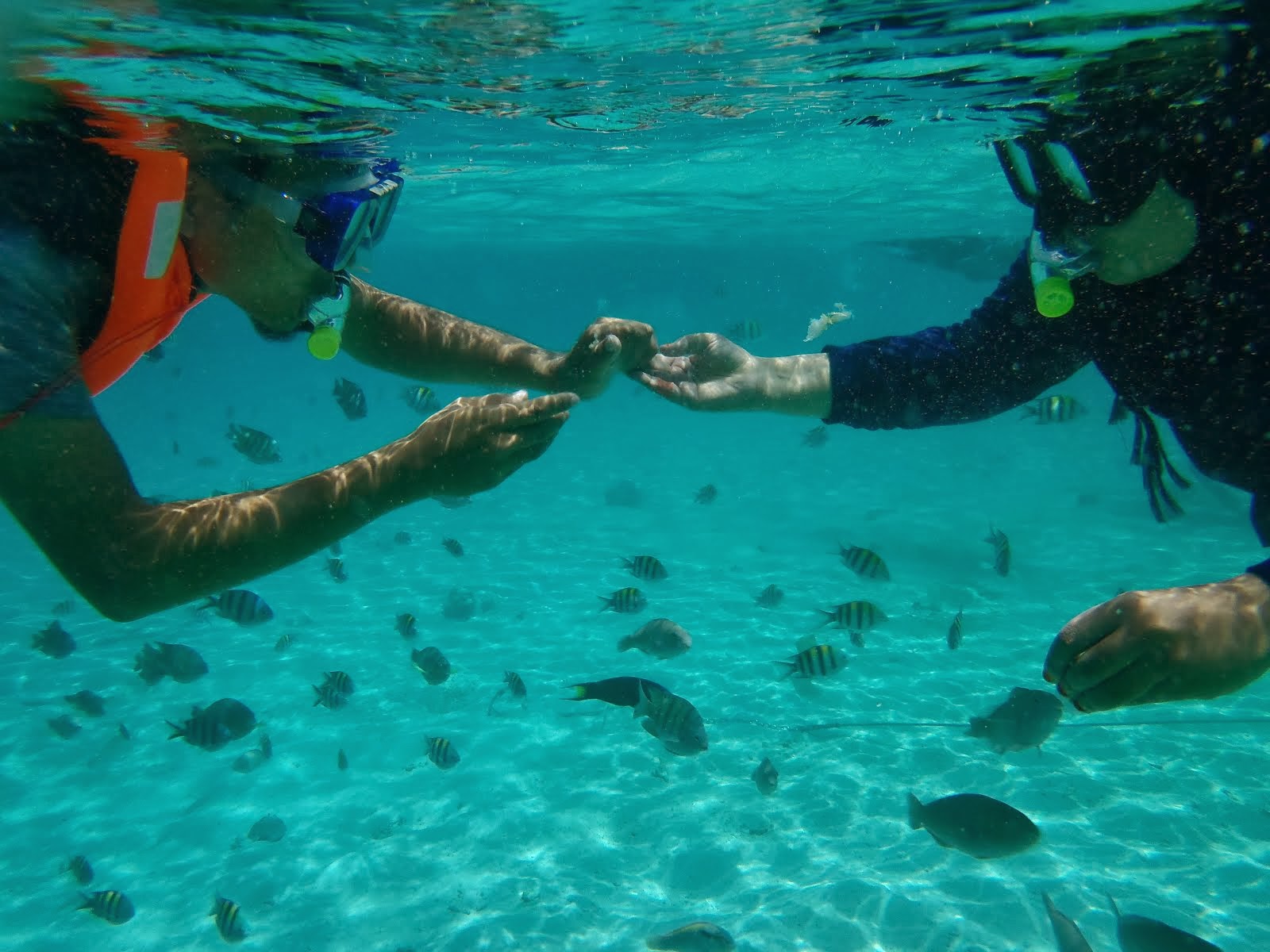 PULAU PERHENTIAN, APRIL 2013