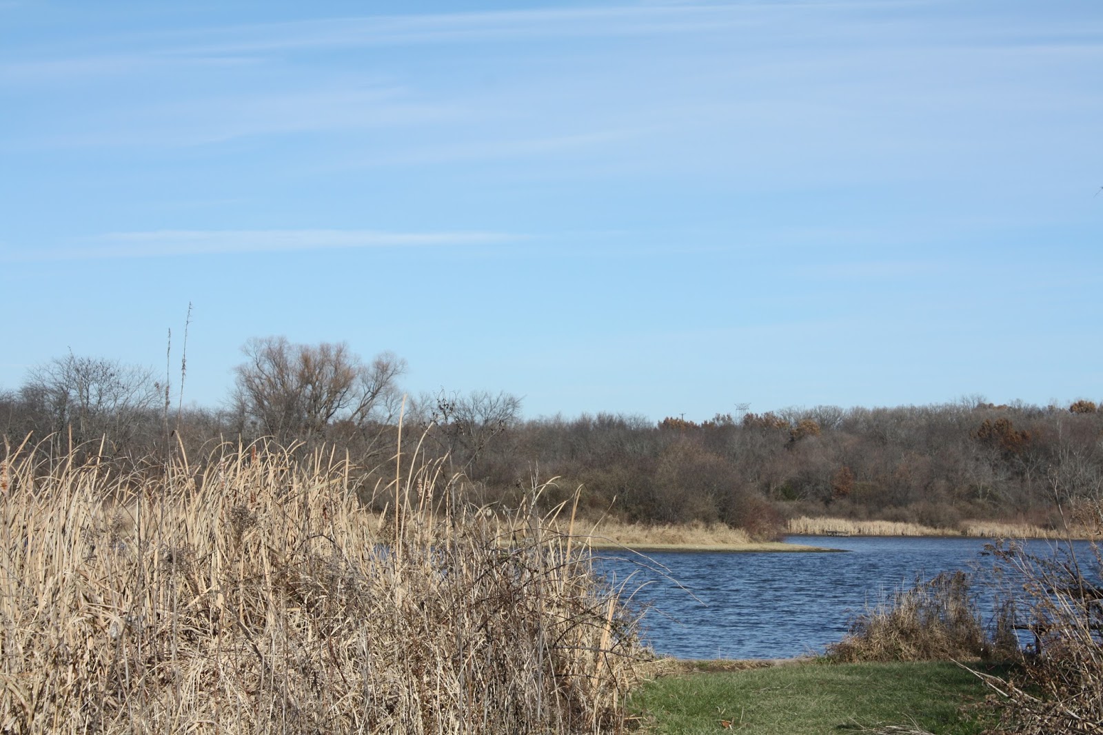 A Little Time and a Keyboard Afternoon at Rock Cut State Park in Illinois