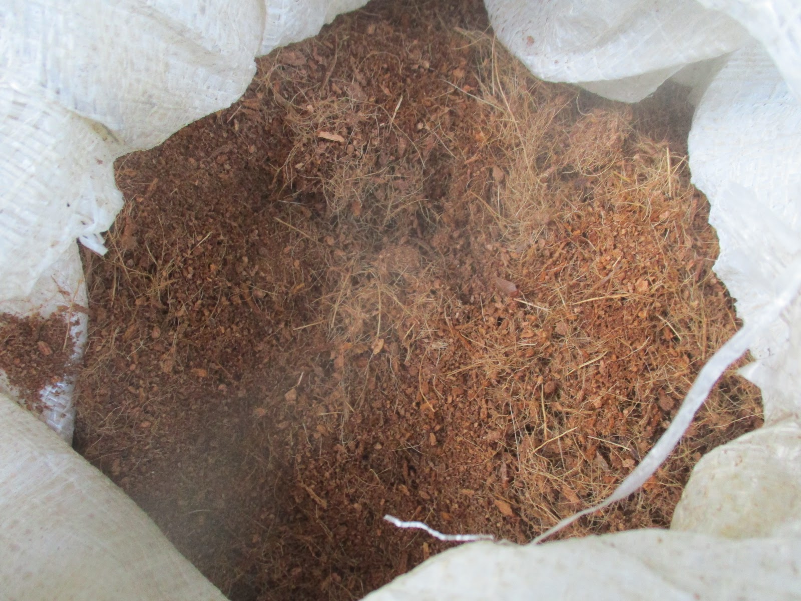 JFarm Farm Ready seedlings and Cocopeat for sale