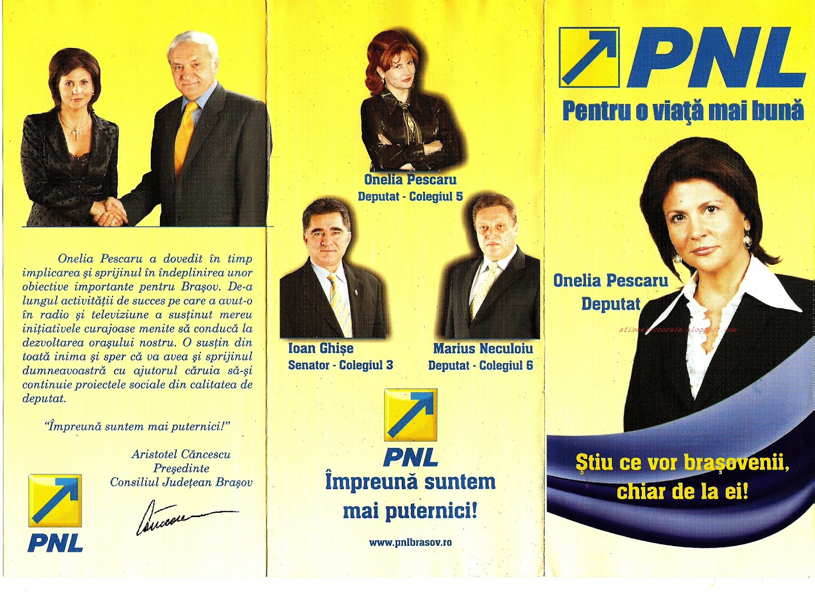 Afişe electorale Onelia Pescaru deputat PNL Brasov 2008