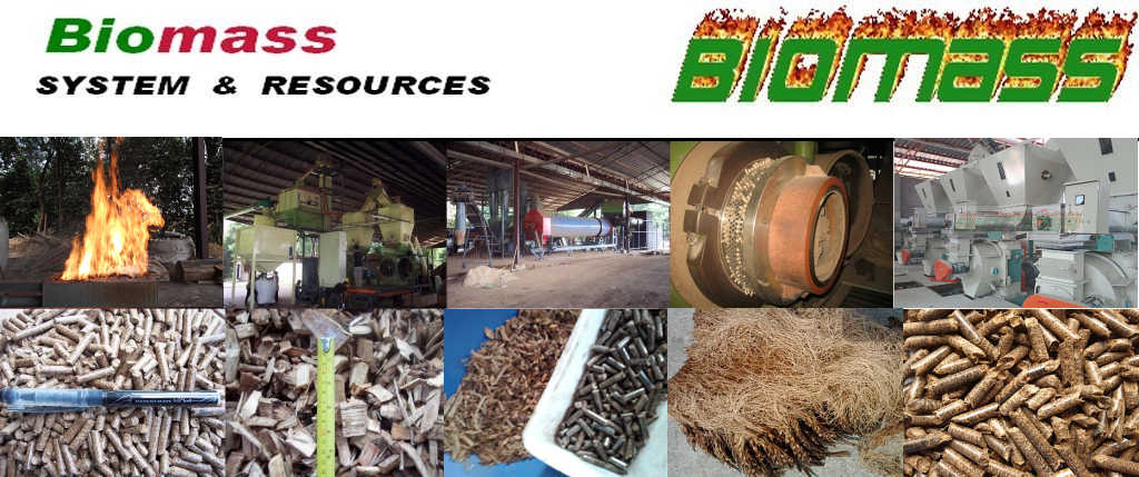 BIOMASS SYSTEM & RESOURCES