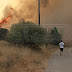 Ιωάννινα:Μεγάλη φωτιά ..   σε εξέλιξη.. Απειλήθηκε οικισμός . ..κινδύνεψε ιδιοκτήτης στάβλου[βίντεο-φωτο] 