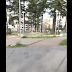 Live YouTube - Un Pomeriggio Al Parco Di Avellino