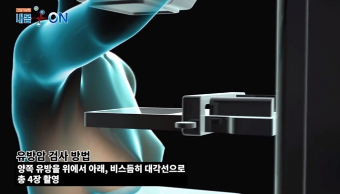 이미지에 대체텍스트 속성이 없습니다; 파일명은 q0fm9zk2zn3q3s0tmmiv.jpg 입니다.