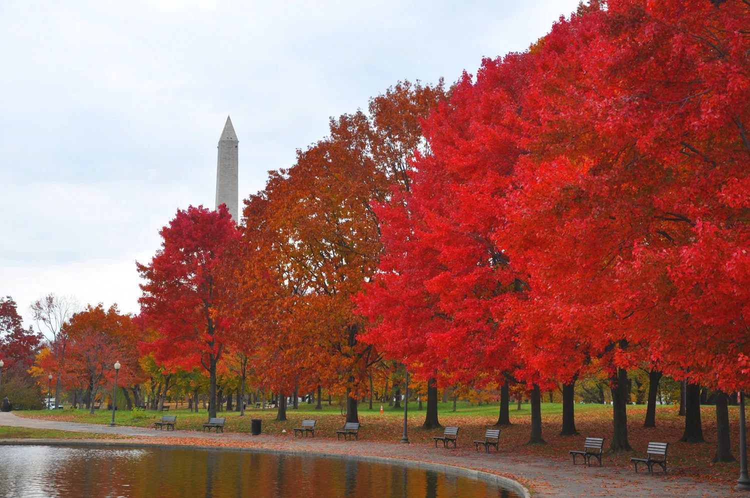 Washington DC is a huge, bustling city, located near a ton of great places for a casual weekend getaway
