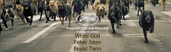 white god-feher isten-beyaz tanri