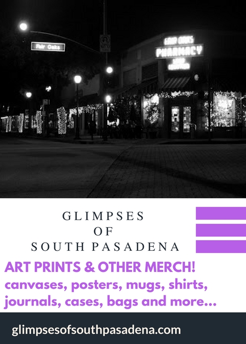 SHOP GLIMPSES MERCH