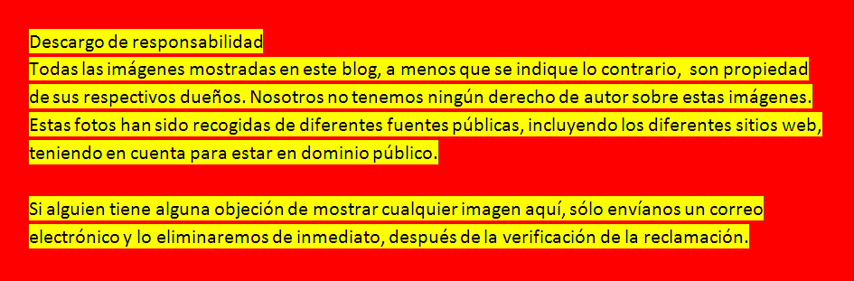 Elazotevenezolanoelblog EL SANTO NEGRO