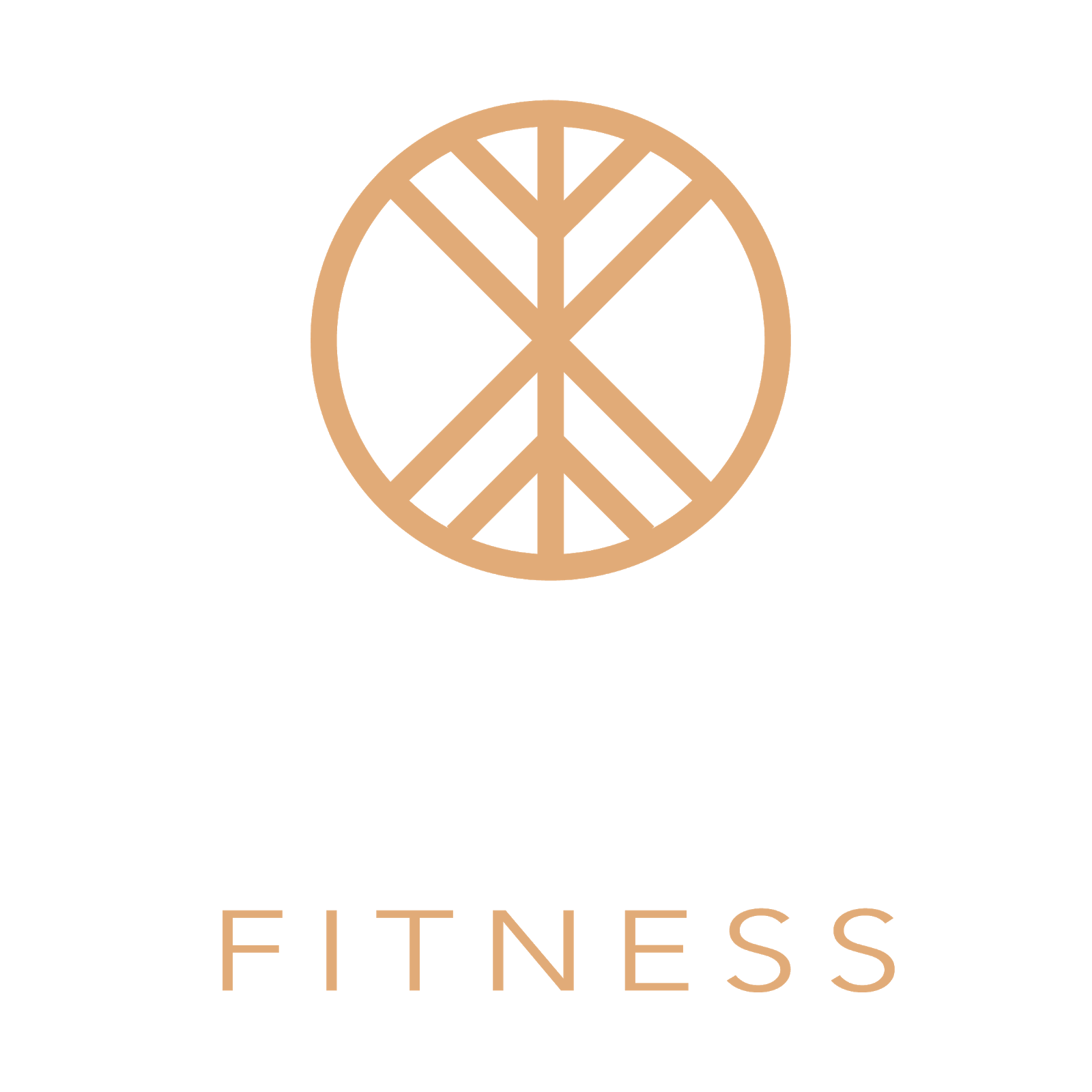 Sanari Fitness - Human Movement Specialist