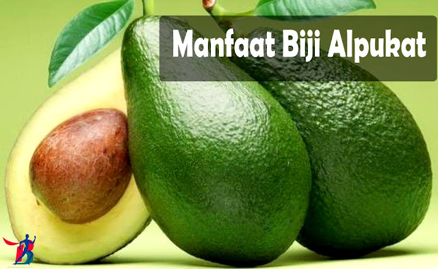 Manfaat Biji Alpukat Manfaat Biji Alpukat