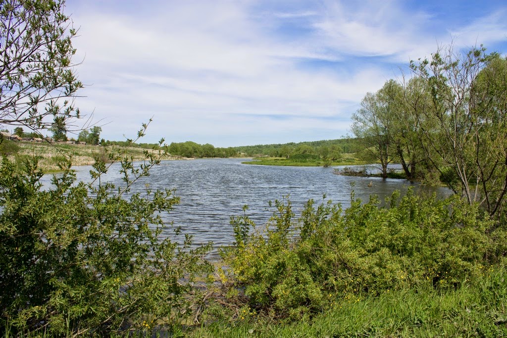 Река черемшанка Река черемшанка