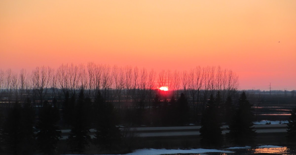 Travel Reviews & Information Grand Forks, North Dakota / SpringHill Suites