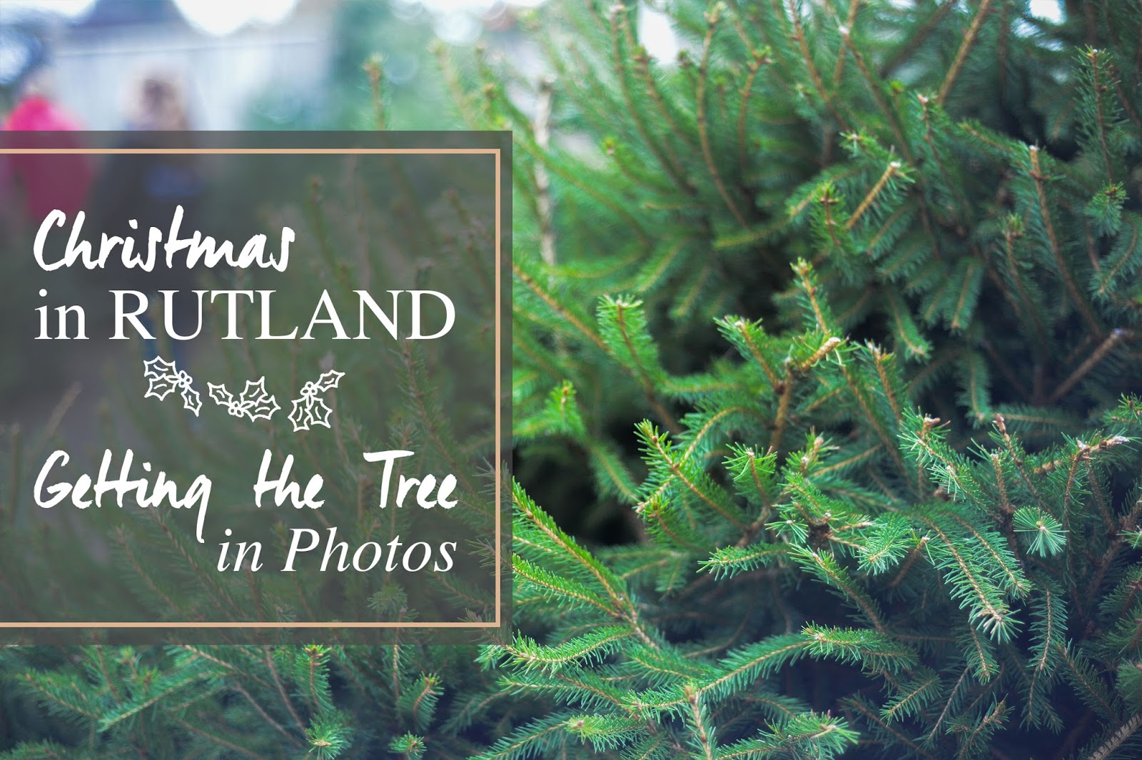 December 2017 The Rutland Blogger