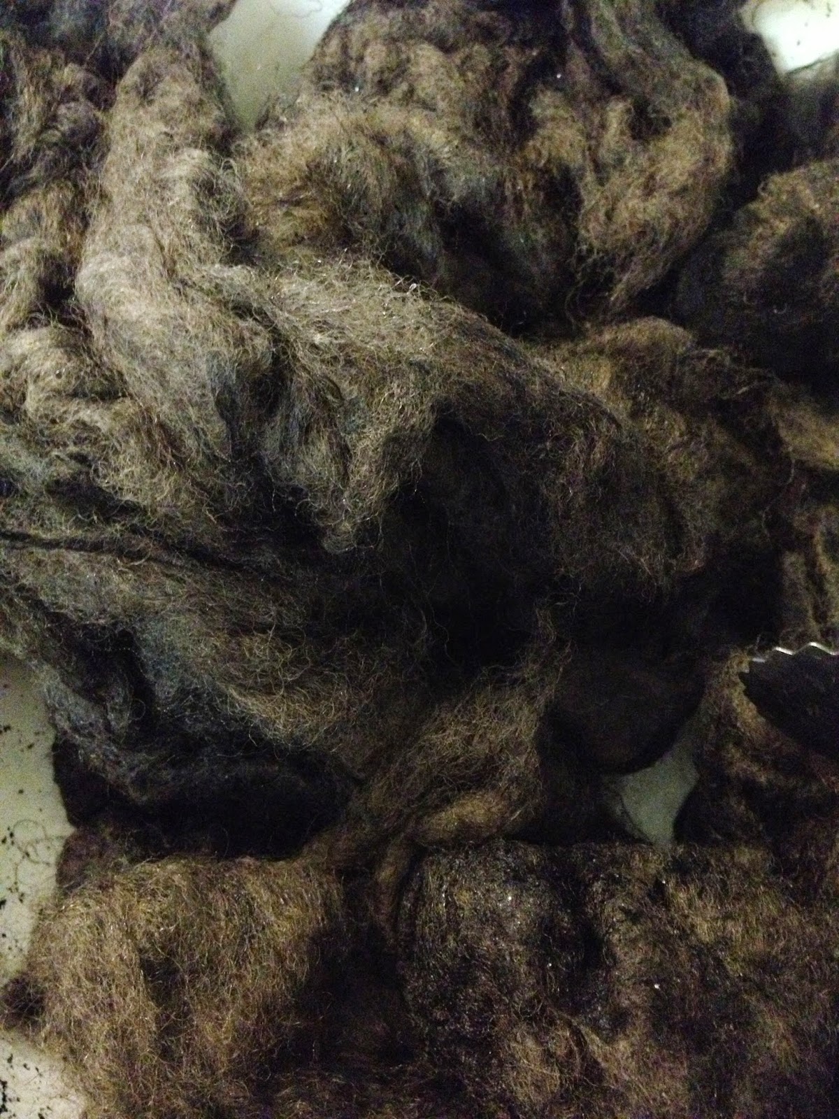 The Inconsequential Blogger Dyeing with sumac berries