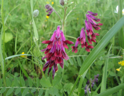 DE EXTREMADURA AL CIELO