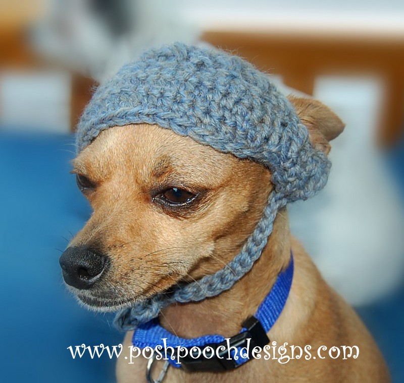 Posh Pooch Designs Dog Clothes Visor For Dogs Crochet Pattern