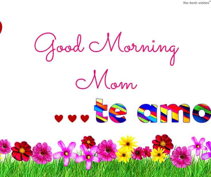 good-morning-mom-te-amo good morning mom te amo