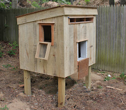 chicken coop pallets recycled coops wood pallet diy build sales chickens michele gina whimsical foter