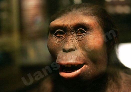 Who Was The First Woman On Earth What Is Her Name Islaminsesi who-was-the-first-woman-on-earth-what-is-her-name-islaminsesi