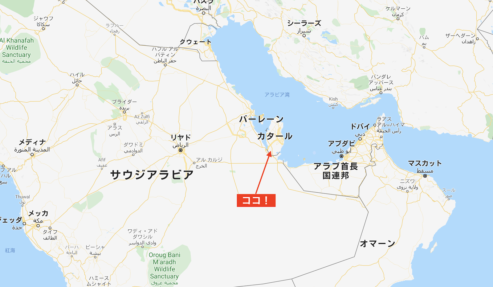 カタールはこんな国【その1】カタールで食•泊•観