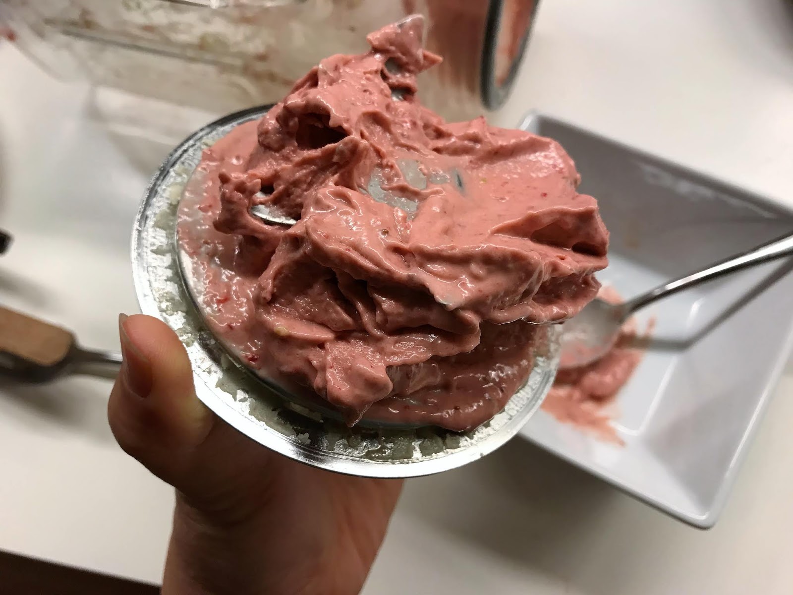 Family FECS Magimix Power Blender (Le Blender 11626SK) vs Vitamix