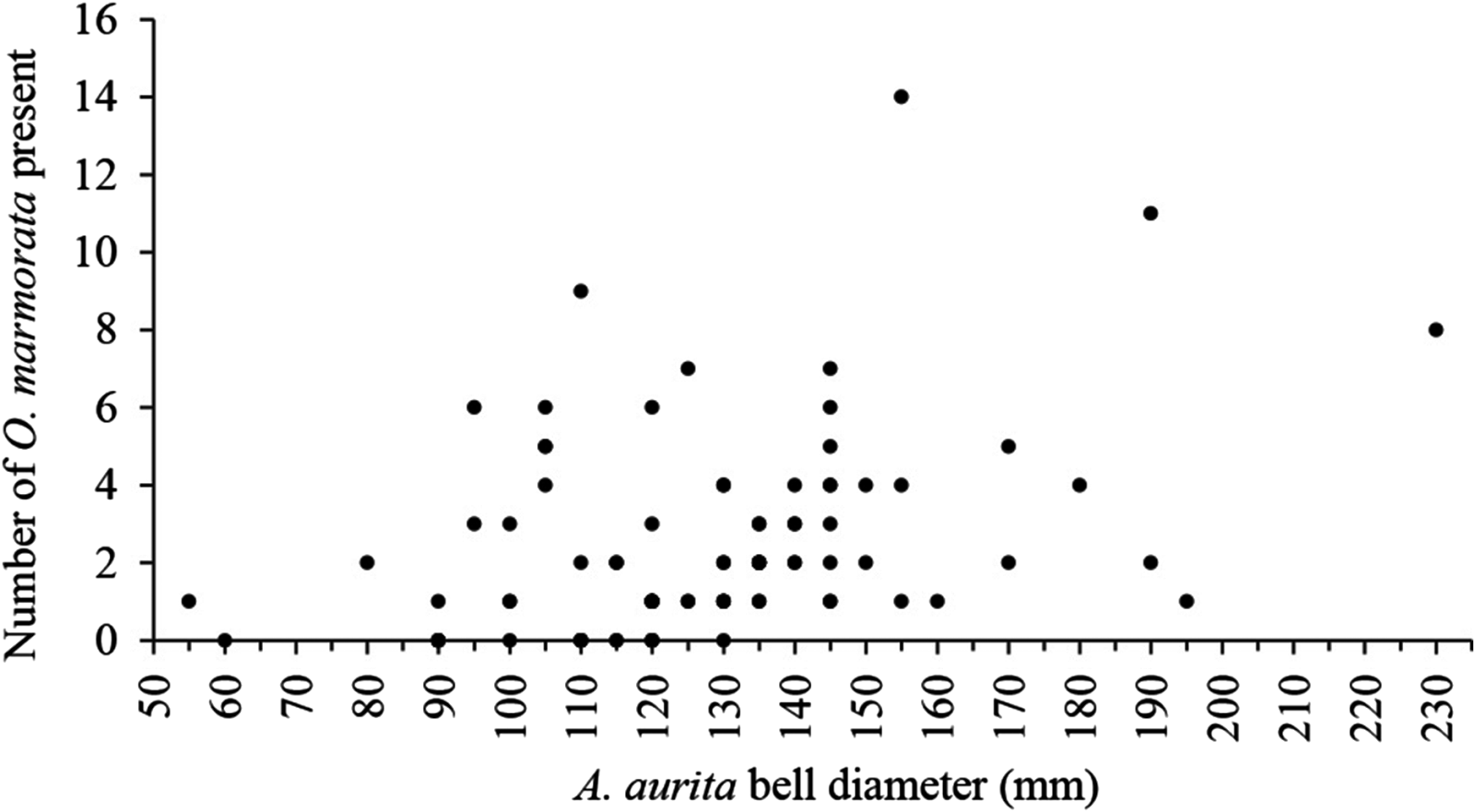 The Echinoblog Brittle Stars that Steal Food From Jellyfish!