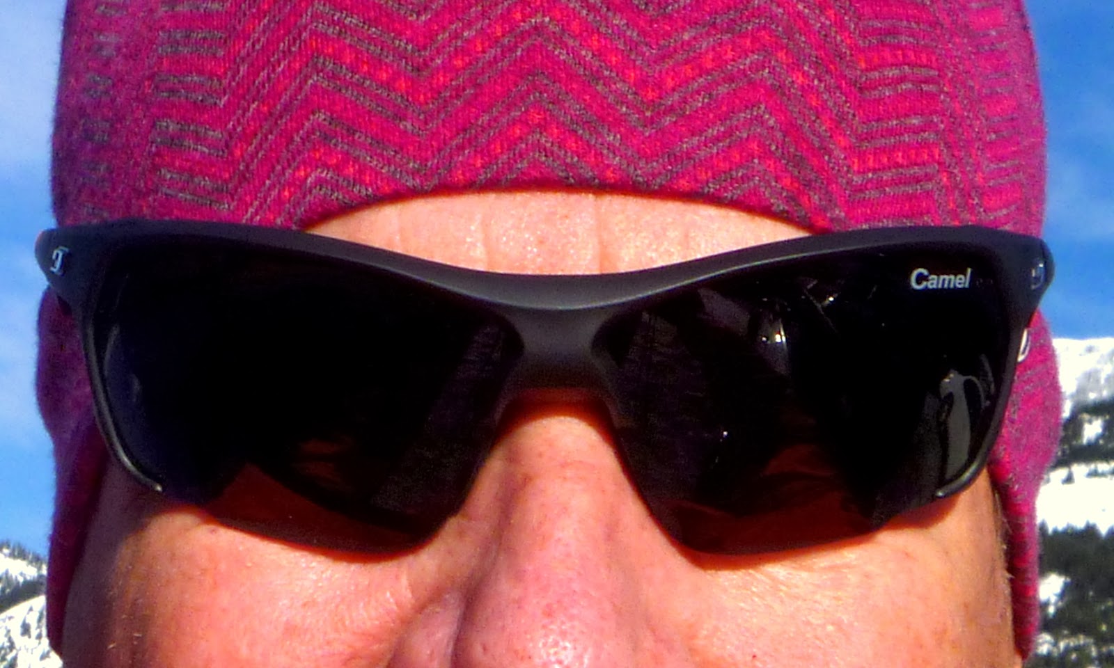 Cold Thistle Julbo Camel lens